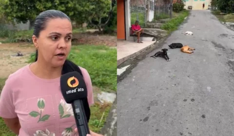 Cães são abandonados em rua e moradores se mobilizam para ajudar os animais