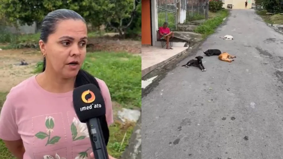 Cães são abandonados em rua e moradores se mobilizam para ajudar os animais