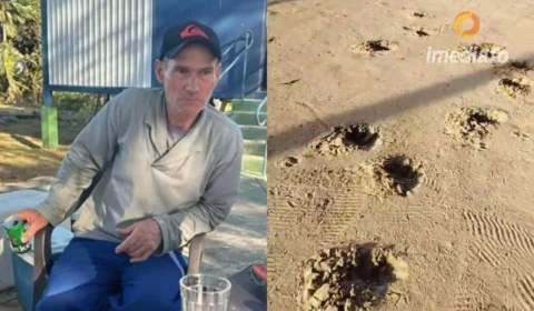 Caseiro é morto em ataque de onça-pintada em fazenda no Mato Grosso do Sul