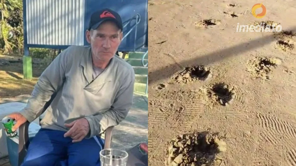 Caseiro é morto em ataque de onça-pintada em fazenda no Mato Grosso do Sul