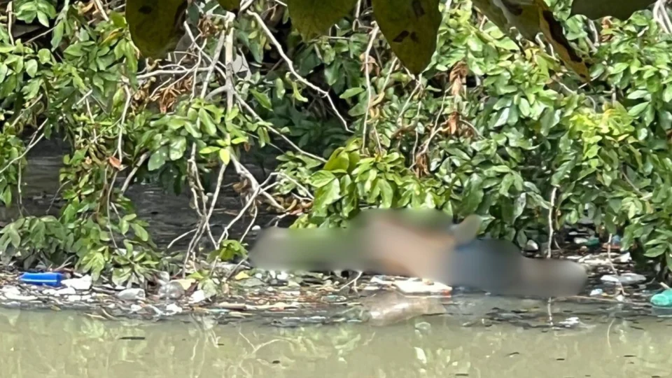 Corpo de homem é encontrado em meio ao lixo em igarapé no São Jorge