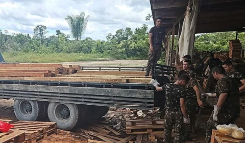 Madeira apreendida em Manacapuru é doada para Exército e Regimento Montado da PM