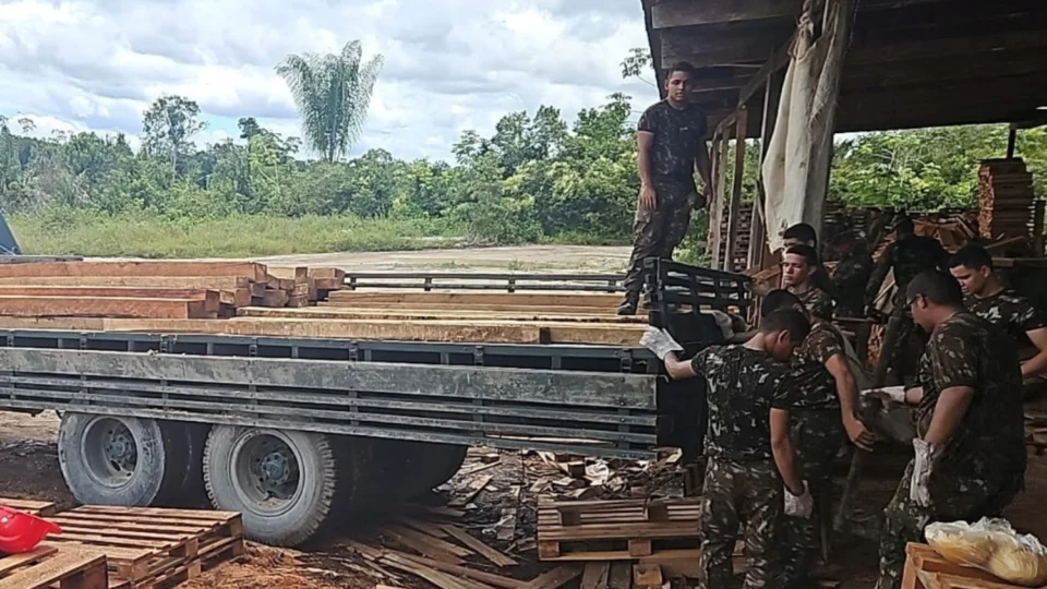 Madeira apreendida em Manacapuru é doada para Exército e Regimento Montado da PM