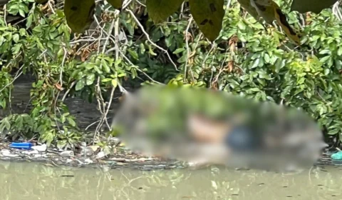 Corpo é encontrado em igarapé no Bairro São Jorge, em Manaus, na manhã de Páscoa
