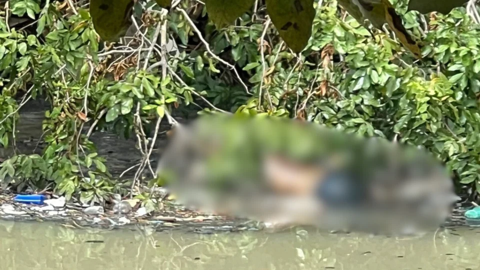 Corpo é encontrado em igarapé no Bairro São Jorge, em Manaus, na manhã de Páscoa