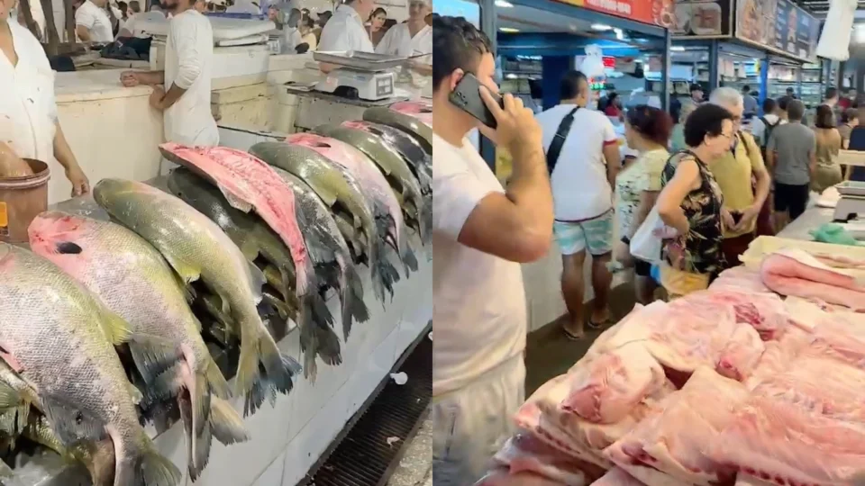 Semana Santa aquece vendas de peixes na Feira da Manaus Moderna
