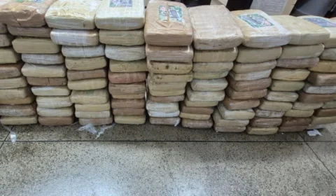 Operação Sudário: Polícia apreende 138 quilos de maconha e prende dois traficantes em Manaus