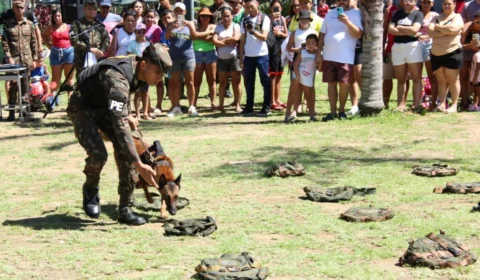Comando Militar da Amazônia promove ação gratuita neste domingo (13) em Manaus