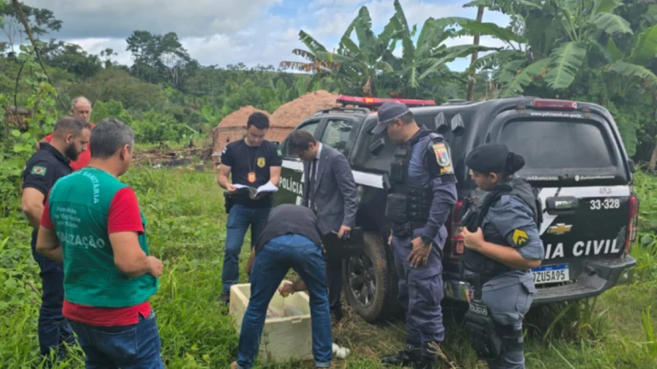 Polícia incinera meia tonelada de drogas apreendidas em Apuí, no sul do Amazonas