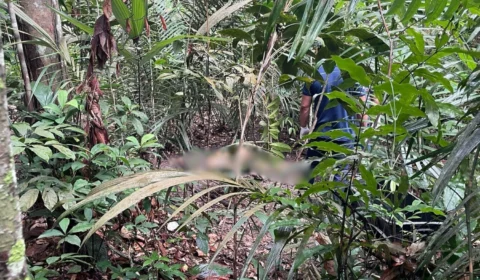 Corpo em decomposição é encontrado em área de mata no bairro Santa Etelvina, em Manaus