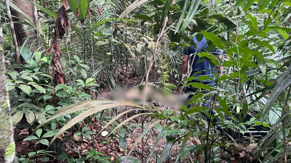 Corpo em decomposição é encontrado em área de mata no bairro Santa Etelvina, em Manaus