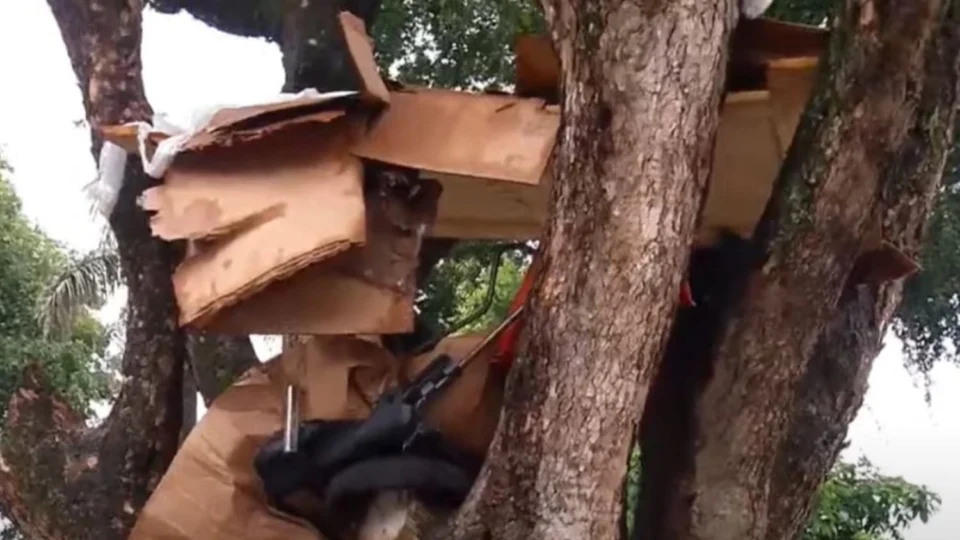 Moradores de rua constroem ‘Casa na Árvore’ em Praça do Centro de Manaus