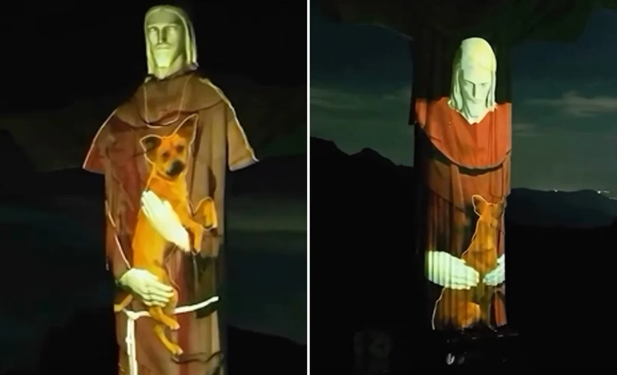 VÍDEO: Cristo Redentor recebe projeção de ‘vira-lata caramelo’ no Dia Mundial dos Animais de Rua
