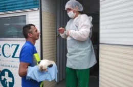 CCZ abre sistema de agendamento para castração de cães e gatos