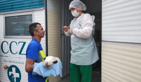CCZ abre sistema de agendamento para castração de cães e gatos