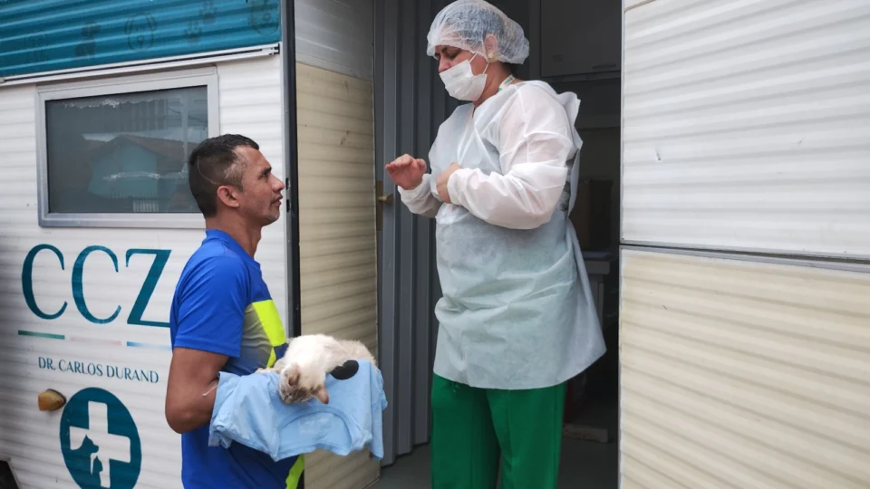 CCZ abre sistema de agendamento para castração de cães e gatos