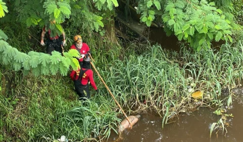 Corpo em decomposição é encontrado em igarapé na zona oeste de Manaus