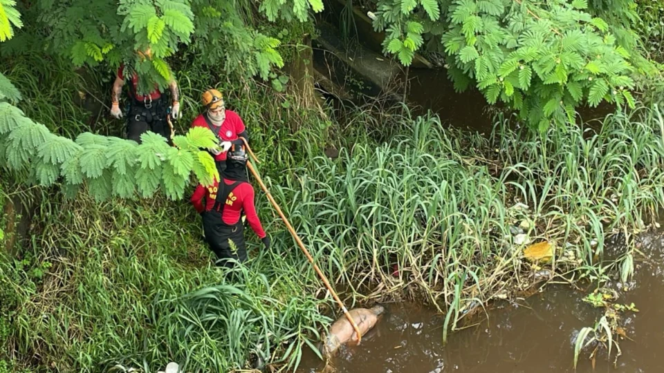 Corpo em decomposição é encontrado em igarapé na zona oeste de Manaus