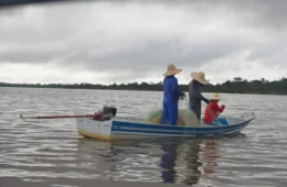 Fim do defeso: pesca do tambaqui é liberada no Amazonas