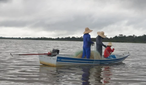 Fim do defeso: pesca do tambaqui é liberada no Amazonas