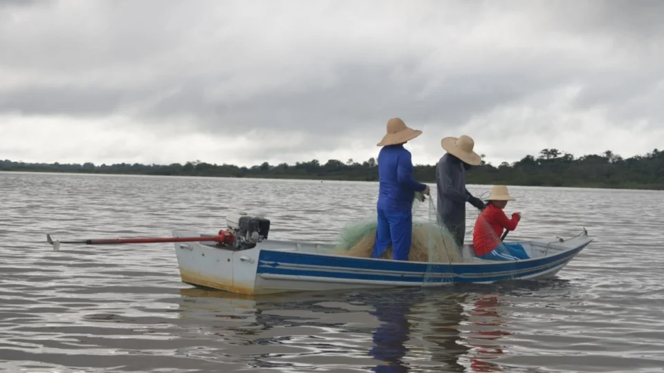 Fim do defeso: pesca do tambaqui é liberada no Amazonas