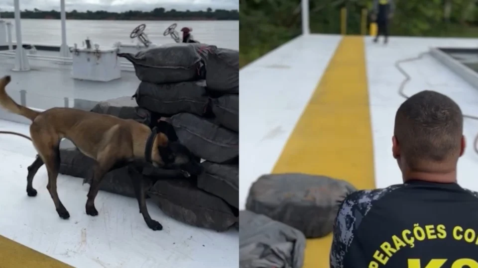 Polícia prende seis pessoas e apreende mais de 500 kg de cocaína em balsas na Base Arpão 3