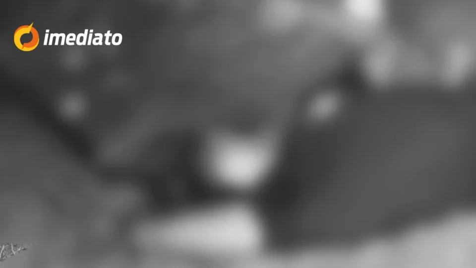 IMAGEM FORTE: vulgo ‘Bill’ é executado com cinco tiros na cabeça no bairro Jorge Teixeira