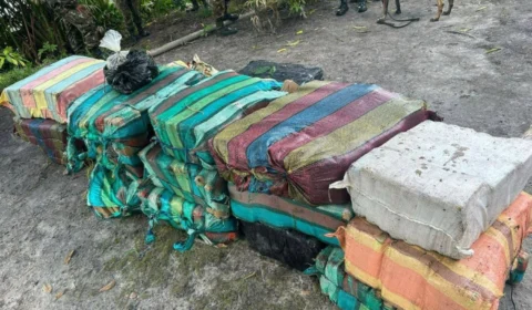 Maconha avaliada em R$ 17 milhões é apreendida em sítio no interior do Amazonas