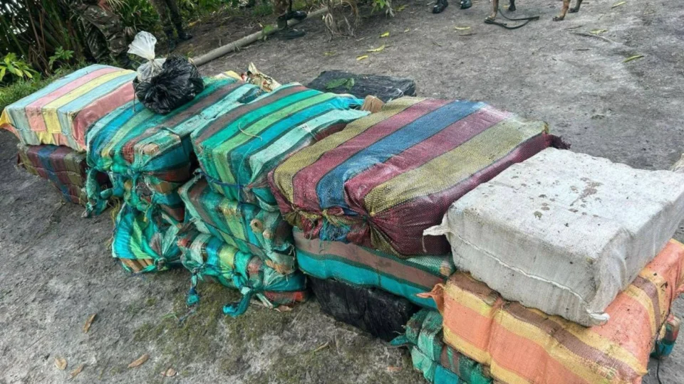 Maconha avaliada em R$ 17 milhões é apreendida em sítio no interior do Amazonas