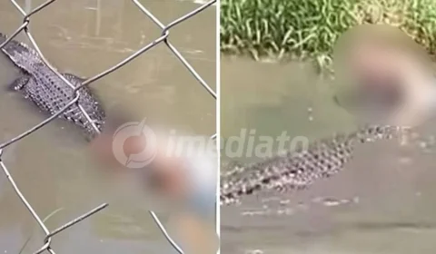 VEJA VÍDEO: turista confunde crocodilo com escultura e é atacado por animal