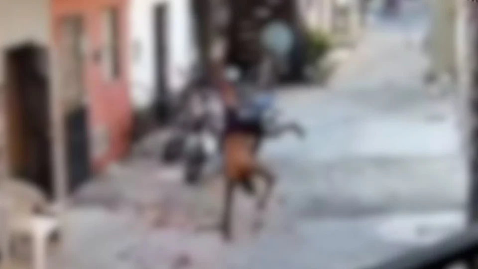 VEJA VÍDEO: homem pula de telhado para fugir da polícia e cai de cabeça no chão