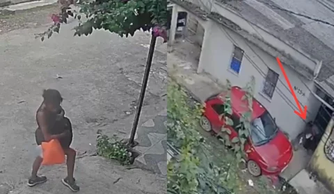 Mulher abandona quatro filhotes em beco no bairro Colônia Santo Antônio; moradores pedem ajuda