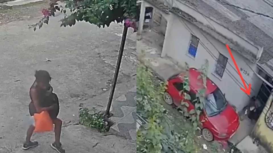 Mulher abandona quatro filhotes em beco no bairro Colônia Santo Antônio; moradores pedem ajuda