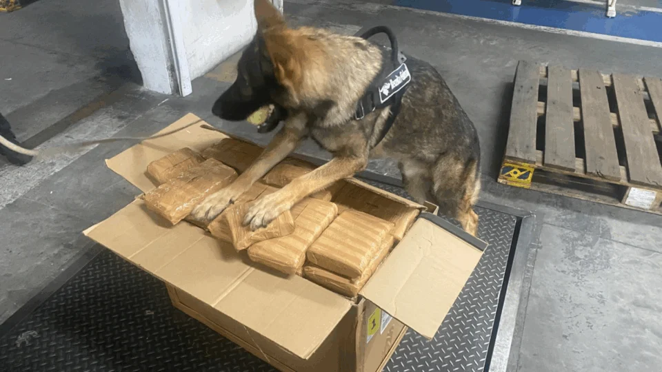 Incêndio destrói residência no bairro Alfredo Nascimento