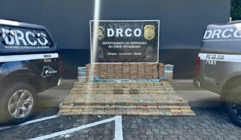 PC-AM causa prejuízo de R$12 milhões ao crime organizado com apreensão de 600 kg de skunk