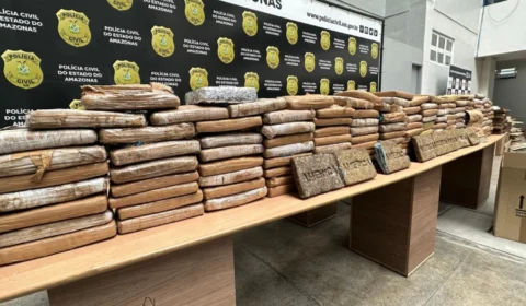 Polícia Civil apreende 150 kg de skunk em casa usada como centro de distribuição com esquema de “delivery” em Manaus