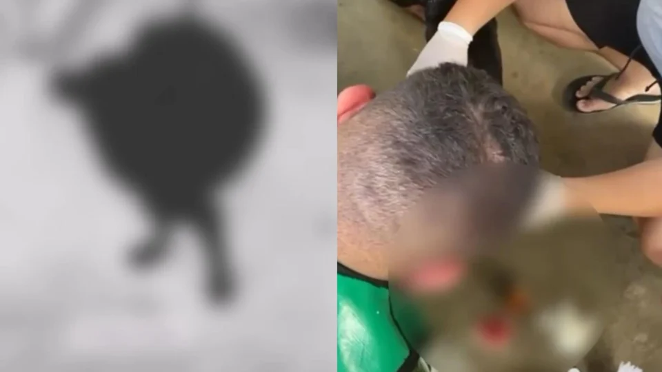 Homem agride cachorro com terçado após se irritar com o latido do animal em Novo Airão