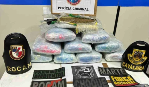 Base Arpão 3: PMAM apreende 10 kg de maconha skunk escondida em caixa de açaí em Coari