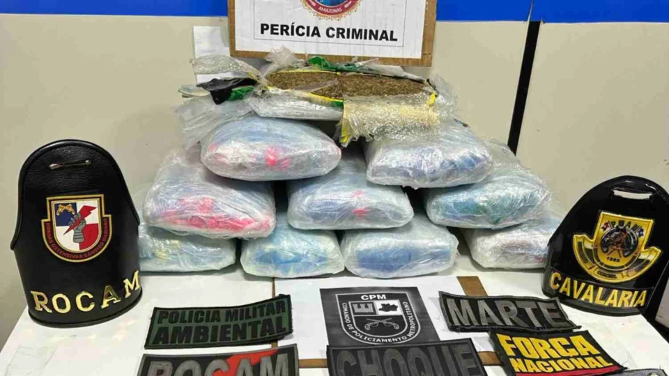 Base Arpão 3: PMAM apreende 10 kg de maconha skunk escondida em caixa de açaí em Coari