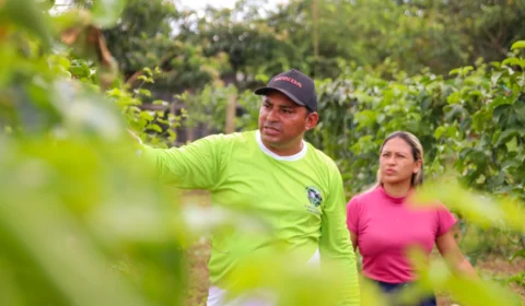 Dia do Trabalhador Rural: A luta e o orgulho de produzir no coração do Amazonas