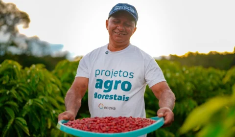 Com apoio da Eneva, Projeto Agroflorestal entrega primeira colheita de café robusta em Silves (AM)