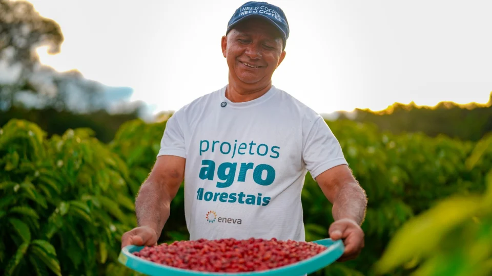 Com apoio da Eneva, Projeto Agroflorestal entrega primeira colheita de café robusta em Silves (AM)