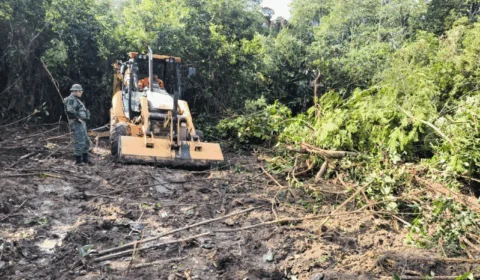 Homem é preso por desmatamento ilegal com retroescavadeira na BR-174, no Amazonas