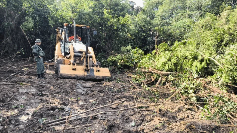 Homem é preso por desmatamento ilegal com retroescavadeira na BR-174, no Amazonas