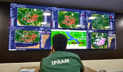 Desmatamento cai 16,65% e focos de calor 72,72% no Amazonas