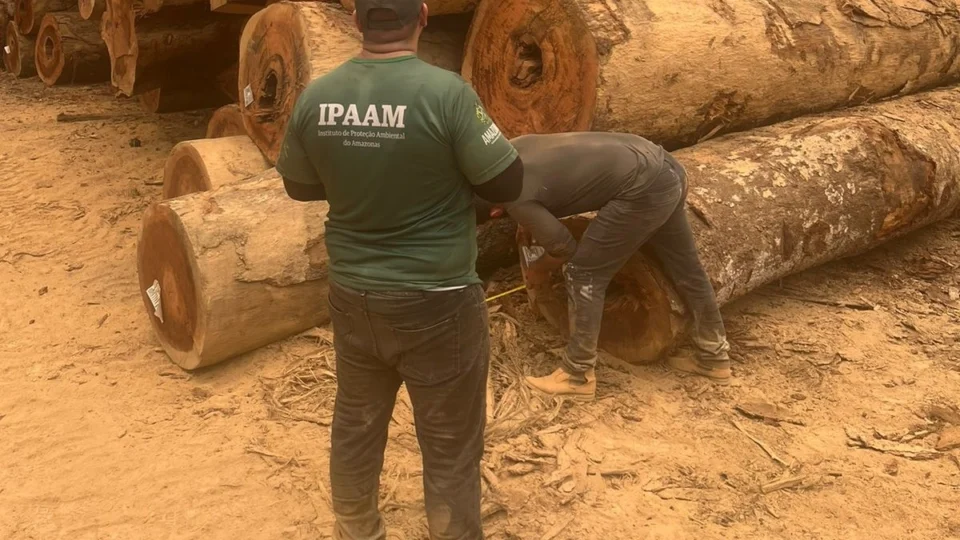 Período do Defeso Florestal chega ao fim nesta quinta-feira (15), no Amazonas