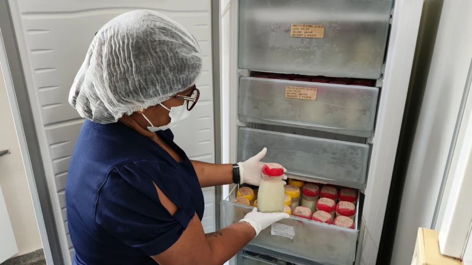 Doação de leite humano salva 2 mil recém-nascidos no Amazonas; saiba como doar