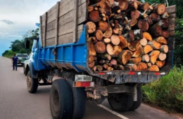 Caminhão com madeira ilegal é multado em R$ 3.600 no Iranduba