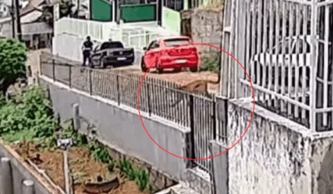 VEJA VÍDEO: morador se assusta ao encontrar onça caminhando em rua