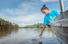 Projeto quer impedir que 3 milhões de garrafas cheguem aos rios da Amazônia